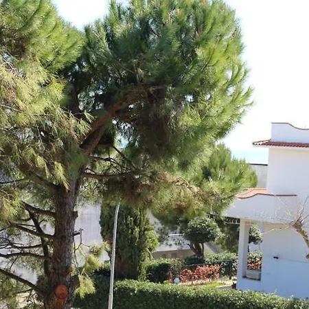 Quadrilocale Botte, A 100 M Dal Mare マルチェッリ